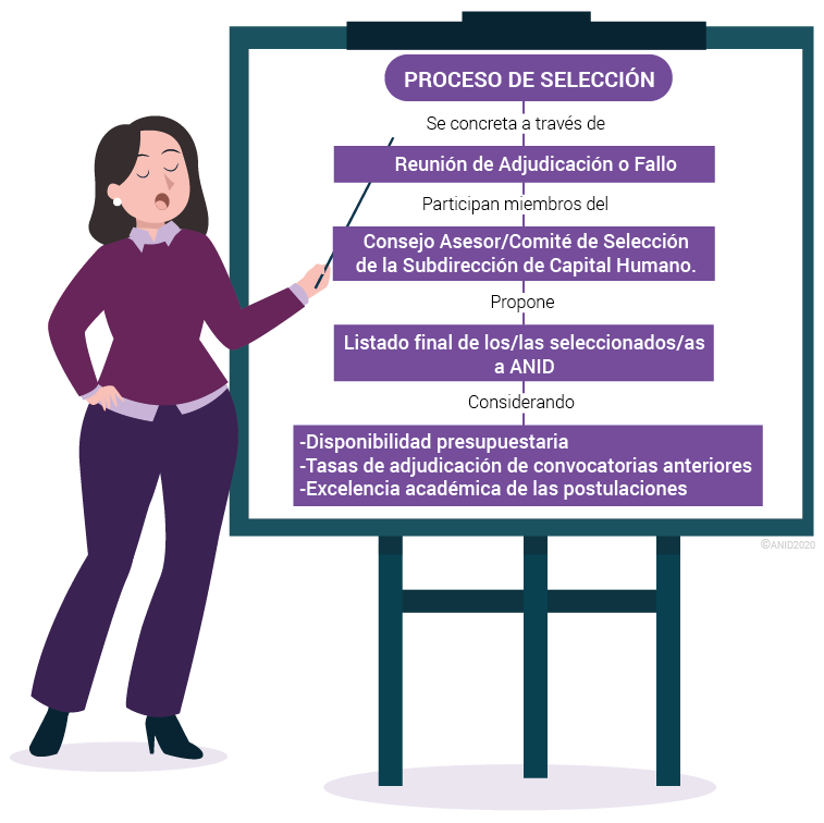 proceso_de_seleccion.png
